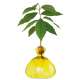 Vase pour Pousse d'Avocat, Germination Design